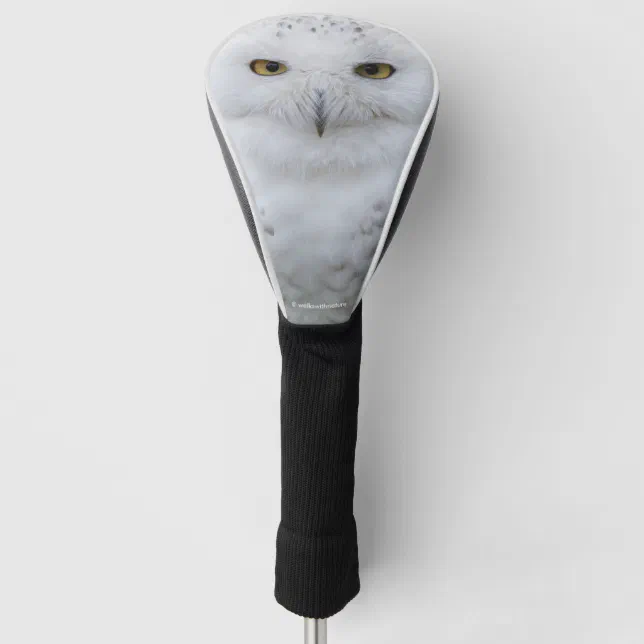 Beautiful, Dreamy and Serene Snowy Owl Golf Head Cover