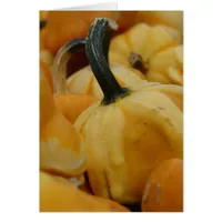 Mini Pumpkins