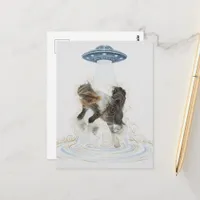 UFO picking up a Gorgeous Horse Postcard