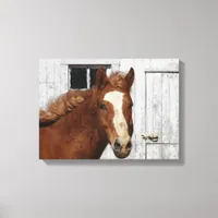 Dunnit Says Hello Canvas Print