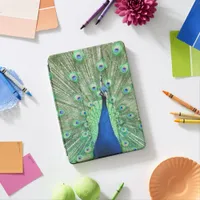 iPad Case  – Peacock