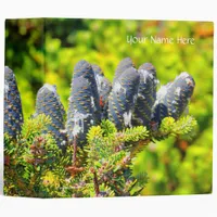 Big Blue Korean Fir Cones Binder