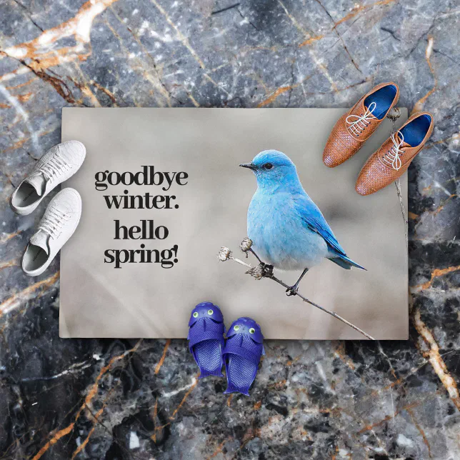 Beautiful Mountain Bluebird at the Beach Doormat