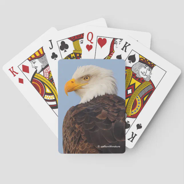 Beautiful Bald Eagle in a Tree Poker Cards