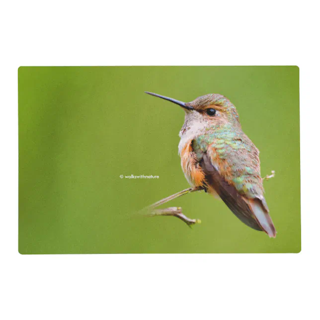 Rufous Hummingbird on California Lilac Branch Placemat