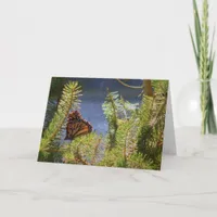 Butterfly on Pine Tree Canvas-Like Texture Card