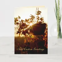 Hanging Garden Sun Twinkle Greeting Card