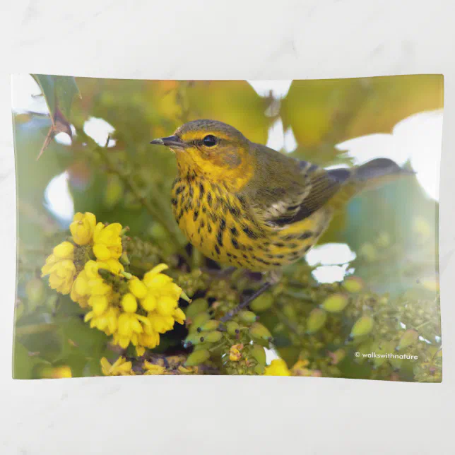 Cape May Warbler with Flowering Mahonia Trinket Tray