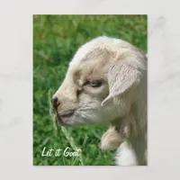 Let it Goat Postcard