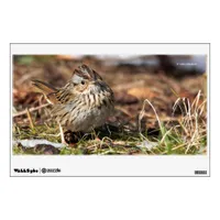 Cute and Spunky Lincoln's Sparrow Wall Decal