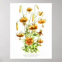 Wild Orange Tiger Lilies Original Art Print