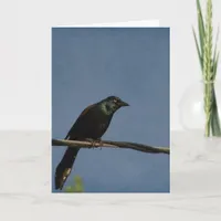 Grackle Power, Happy Birthday Card