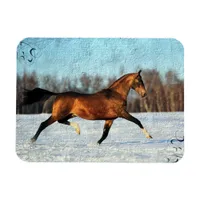 Winter Akhal-teke Magnet