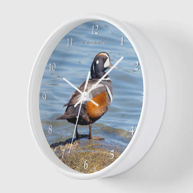 Beautiful Harlequin Duck on Beach Shores Clock