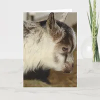 Mouse the Goat Card