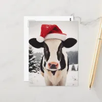 Adorable Christmas Dairy Calf Postcard