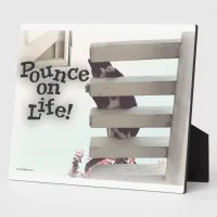 Pounce On Life Motivational Cat Photo Quote Plaque