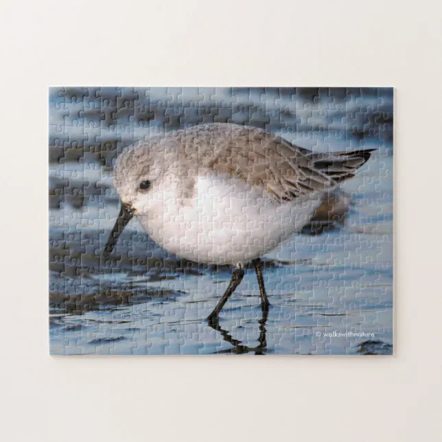 Sanderling Strolling on a Winter Beach Jigsaw Puzzle