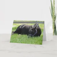 Afternoon Nap Card