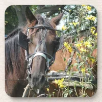 Amish horse waiting coaster