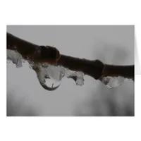Freezing Rain