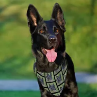 Custom Tiled Your Photo Black German Shepherd Dog Pet Bandana Collar