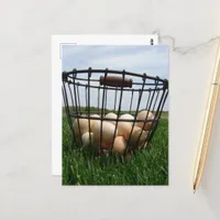 A Basket of Farm Fresh Eggs in the Grass Postcard