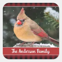 Rustic Christmas Northern Cardinal Plaid Nature Square Sticker