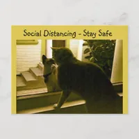 Postcard - Social Distancing Cats