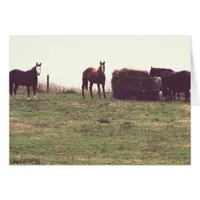 Vintage Horses