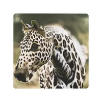 Funny Leopard Appaloosa Metal Print
