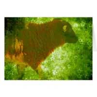 Lamb in a Field of Stars
