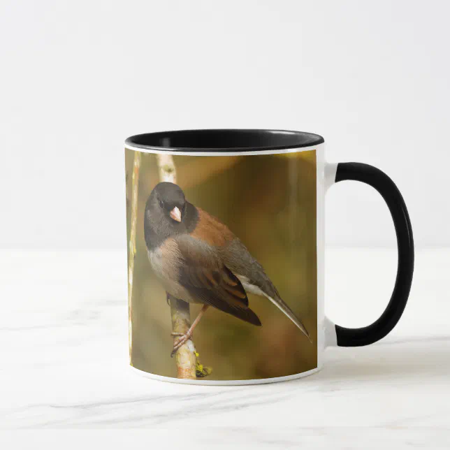 Curious Dark-Eyed Junco Sparrow Songbird Mug