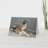 Canada Goose Card