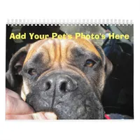 Add your Pet's Photos to Each Month Calendar