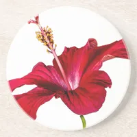 Red Hibiscus Flower Side View Coaster