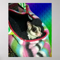 Sugar Glider Wearing a Hat Poster