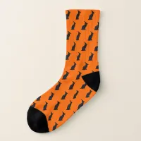 Cute Black Witch Cat Socks