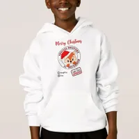 *~* Santa Approved Special Delivery Naughty Nice Hoodie