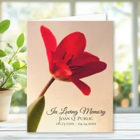 Red Tulip Flower Spring Funeral Memorial Sympathy Thank You Card