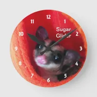 Sugar Glider in Orange Hanging Bed Round Clock