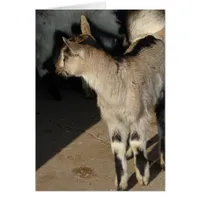 Bunny The Goat Blank Inside Greeting Card