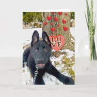 Black GSD Puppy with Hearts & Love Valentine Card