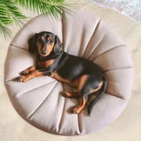 Funny Dachshund Cute Sausage Dog Doxie Round Beach Towel