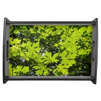 Sun-Dappled Leaves in the Forest Serving Tray