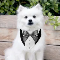 Black Tuxedo Suit Metal Grey Bow Tie Pet Bandana Collar