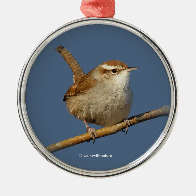 A Curious Bewick's Wren in the Tree Metal Ornament