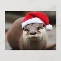 Adorable Otter Santa Hat Postcard