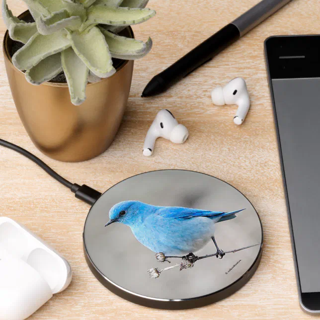 Beautiful Mountain Bluebird at the Beach Wireless Charger