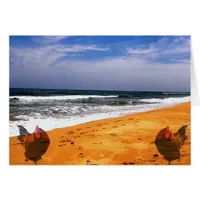 Copper Goes To the Beach